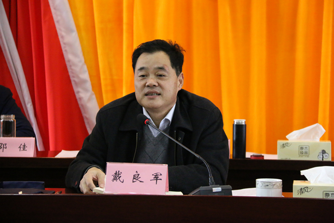 集團(tuán)黨委委員、副總經(jīng)理、總工程師戴良軍發(fā)表講話